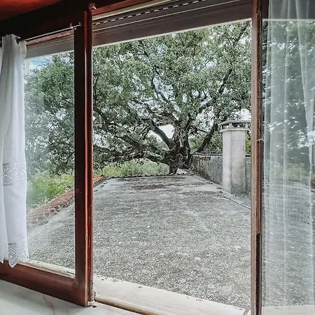 Casa Angelino Holiday home